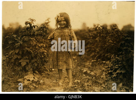 Lewis Hine, Laura Petty, un enfant de 6 ans berry picker sur Jenkins ferme, Rock Creek, Maryland, 1909 Banque D'Images