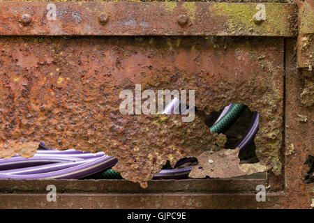 Libre de Rusty, casse de porte du jardin avec vue sur un violet et un vert d'eau flexible par les lacunes Banque D'Images