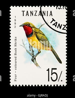 Timbre de Tanzanie représentant un quatre couleurs bush migratrice (Telophorus viridis) Banque D'Images