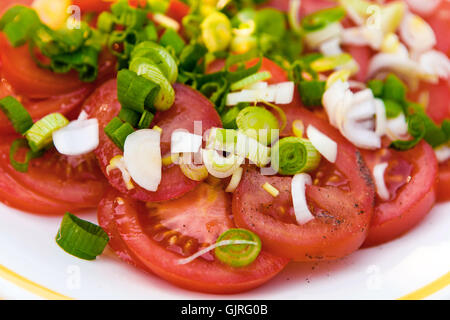 Salade de tomates avec des oignons verts Banque D'Images