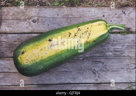 Big récoltés mûrs et la courgette. Fermer l'arrière-plan. Banque D'Images