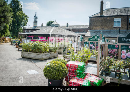 Syon House Garden Center, Syon Park, Hounslow, Angleterre, Royaume-Uni Banque D'Images