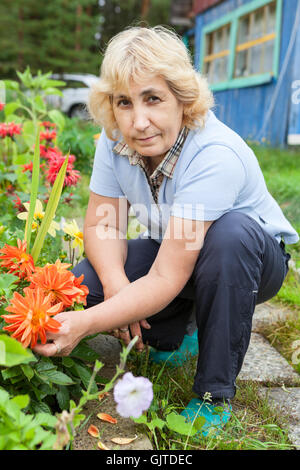 Femme mature beauté croissante dans le parterre de fleurs dahlia sur cour Banque D'Images