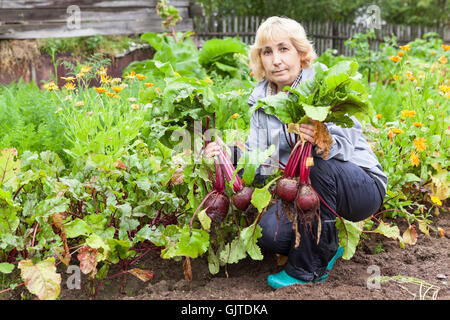 Mature Woman sitting with beetroot récolte en mains Banque D'Images