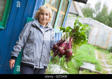 Smiling mature woman standing près de maison d'été avec des betteraves fraîches dans les mains Banque D'Images