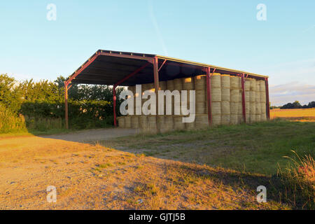 Bottes de foin dans une grange de stockage Banque D'Images