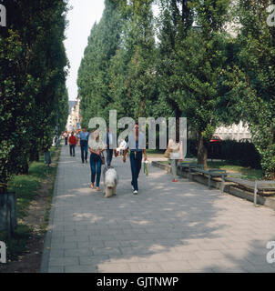 München, 1985. Spaziergänger mit hund Entlang der Leopoldstrasse dans Richtung Schwabing. Munich, 1985. Walker avec chien le long de la rue Léopold à Schwabing district. Banque D'Images