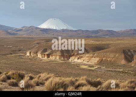 La neige a couvert de la crête du volcan Parinacota 6342m s'élevant au-dessus de l'Altiplano dans le parc national de Lauca, le nord du Chili. Banque D'Images