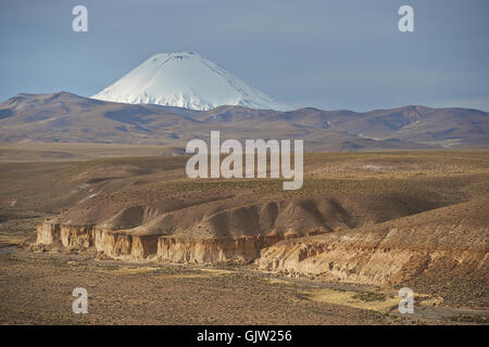 La neige a couvert de la crête du volcan Parinacota 6342m s'élevant au-dessus de l'Altiplano dans le parc national de Lauca, le nord du Chili. Banque D'Images