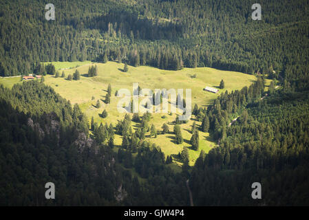 Vue aérienne de verts pâturages de Eibelsfleck alp entouré de forêt sombre de la montagne Benediktenwand sommet dans les Alpes bavaroises en été Banque D'Images