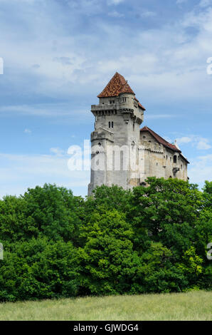 Maria Enzersdorf : Château de Liechtenstein, l'Autriche, Niederösterreich, Autriche, Vienne, Wienerwald Woods Banque D'Images