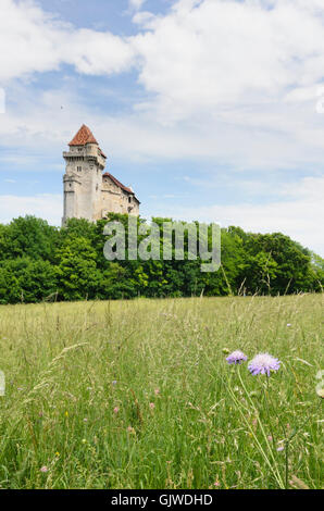 Maria Enzersdorf : Château de Liechtenstein, l'Autriche, Niederösterreich, Autriche, Vienne, Wienerwald Woods Banque D'Images