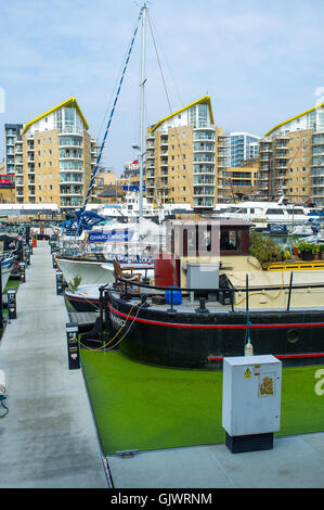 Londres, Royaume-Uni. 18 août 2016. L'eau du bassin de Limehouse est couvert par la lentille d'eau verte. C'est une très petite lumière green flottantes, roulement de graines plante qui peut être agressive invaders d'étangs et sont souvent trouvés en mixte avec des fougères ou aucun nom commun. Credit : Alberto Pezzali/Alamy Live News Banque D'Images