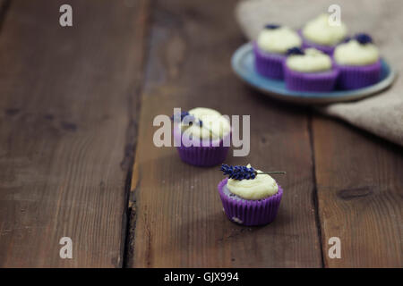 Mini lavande cupcakes avec glaçage au mascarpone sur table en bois. Gros plan avec une faible profondeur de champ et d'un grand espace de copie. Banque D'Images