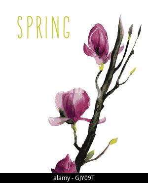 Aquarelle de fleurs Magnolia Illustration de Vecteur