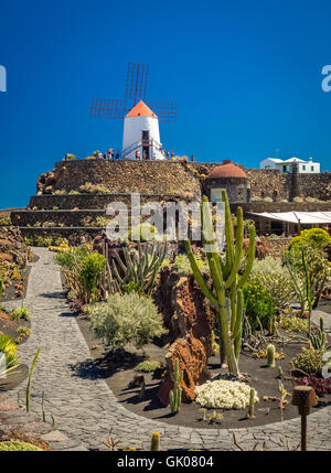 Lanzarote, Espagne - 22 août 2016 : Les personnes qui désirent visiter le vieux moulin transformé en musée le jardin de cactus Banque D'Images