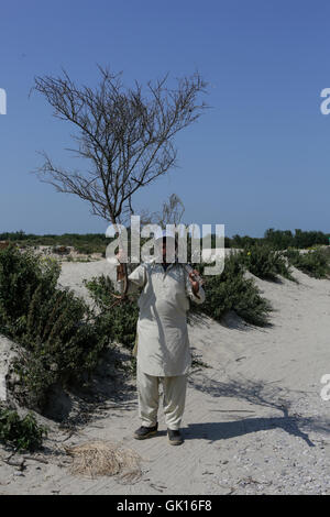 Calais, France. Août 17, 2016. Un réfugié transporte les branches pour le camp. Plus de 9 000 réfugiés vivent dans le camp de réfugiés de Calais, appelé la Jungle. Ils sont tous sur leur chemin vers le Royaume-Uni et sont bloqués ici, que la Manche est très surveillée par la police française et anglaise ainsi que des clôtures et des barbelés. Crédit : Michael Debets/Pacific Press/Alamy Live News Banque D'Images