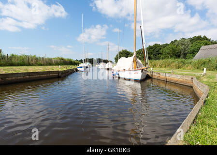 Bateaux amarrés à Horsey sur les Norfolk Broads, UK. Banque D'Images