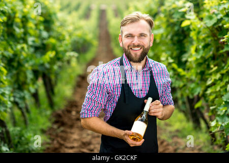 Portrait de vin sur le vignoble Banque D'Images