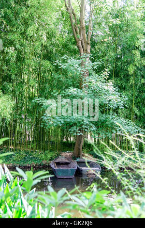 Image au format Portrait de scène tranquille avec paire de vieux bateaux en bois vert amarrés sur la rive d'un étang entouré de bambous, t Banque D'Images