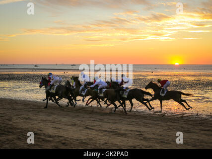 Course de Chevaux Sanlucar Sanlucar de Barrameda Plage, Sanlucar de Barrameda, Cadiz, Andalousie, Espagne Banque D'Images