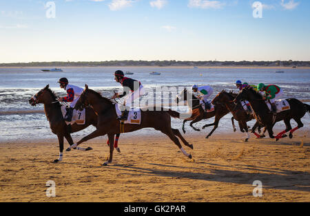 Course de Chevaux Sanlucar Sanlucar de Barrameda Plage, Sanlucar de Barrameda, Cadiz, Andalousie, Espagne Banque D'Images