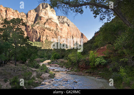 Crek dans Zion National Park, Utah, l'Ouest Américain Banque D'Images