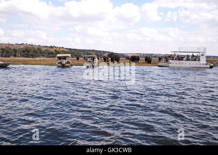 L'observation des touristes sur des bateaux de safari sur la rivière Chobe Afrique Botswana Banque D'Images