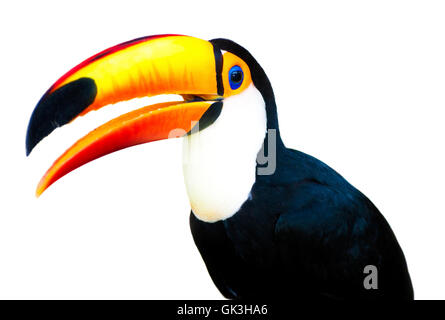 Beau profil fermer Banque D'Images