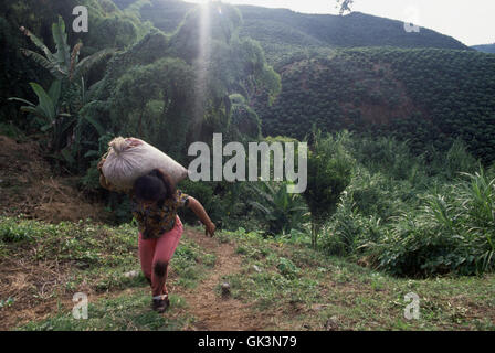 Ca. 1980-1995, l'Arménie, Colombie --- une femme porte un sac de grains de café fraîchement récoltées le long d'un sentier en plnatation Georgioupoli Banque D'Images