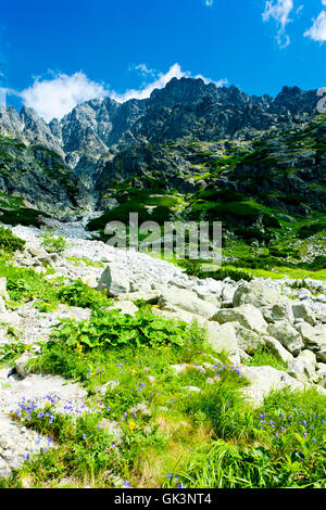 Montagnes Slovakia Travel Banque D'Images