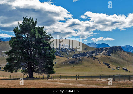 Paysage étrange de la colline du Château dans les Alpes du Sud, Arthur's Pass, île du sud de la Nouvelle-Zélande Banque D'Images