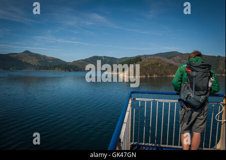 Détroit de Cook, Nouvelle-Zélande - le 4 février 2016 : le passager voyage ferry de Wellington à Picton Marlborough Sounds, via NZ Banque D'Images