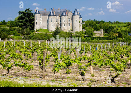 Vignoble Le vignoble de billet Banque D'Images