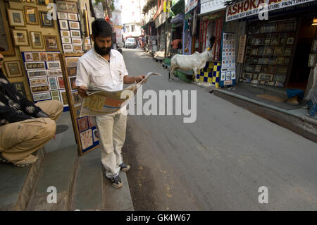 2009, Udaipur, Inde --- un homme lit un journal dans une rue d'Udaipur tandis qu'une vache sacrée erre en arrière-plan. Udaipur Banque D'Images