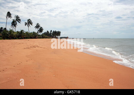 Sur la plage de sable de Sri Lanka Banque D'Images