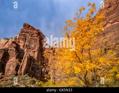 Vue de Weeping Rock, de Hidden Canyon Trail à la fin octobre, Zion National Park, Utah, USA Banque D'Images