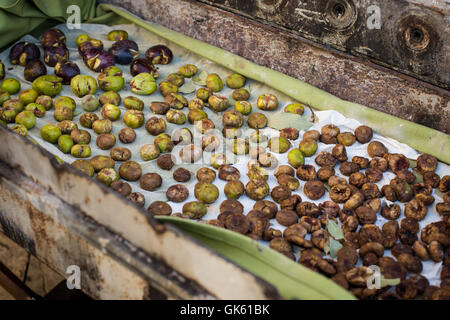 Figs séchant au soleil dans le village de Lofou à Chypre. Banque D'Images