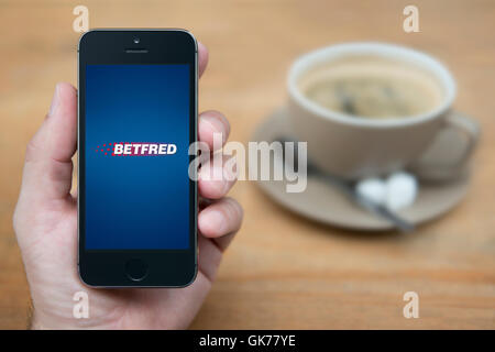 Un homme se penche sur son iPhone qui affiche le logo Betfred, tandis qu'assis avec une tasse de café (usage éditorial uniquement). Banque D'Images