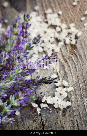 Bleu lavande aromatique Banque D'Images