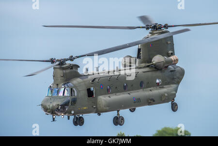 L'hélicoptère Chinook Banque D'Images