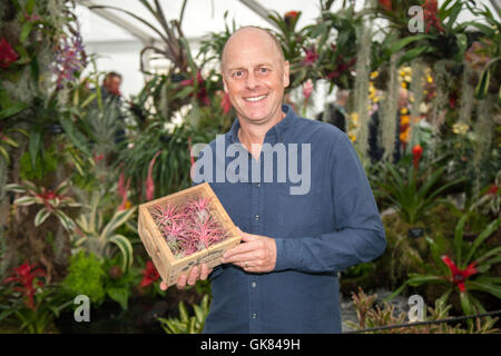 Joe Swift au Southport Flower Show, Merseyside, Royaume-Uni. 19th août 2016. Jardinier célébrité et présentateur de télévision et jardinier de célébrité, expert en horticulture, jardinage et conception de jardin. Joe Swift au salon des fleurs de Southport, qui tient une boîte de plantes broméliad de tillandsia. Des milliers de visiteurs sont attendus à des visages connus et ouvriront officiellement les portes aux horticulteurs en herbe. Banque D'Images