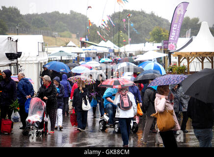 Southport Flower Show, le Merseyside (Royaume-Uni). 19 août, 2016. Southport southport Royaume-uni salon floral. 19.8.16. Un démarrage humide à Mesdames Journée au 2016 Southport Flower Show. Credit : ALAN EDWARDS/Alamy Live News Banque D'Images