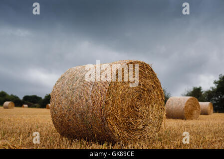 Hucknall, Nottinghamshire, Angleterre. Août 19, 2016. Met Office ont émis un avertissement jaune solide pour les vents du sud-ouest et, blustry gratuites arosse les East Midlands. Crédit : Ian Francis/Alamy Live News Banque D'Images