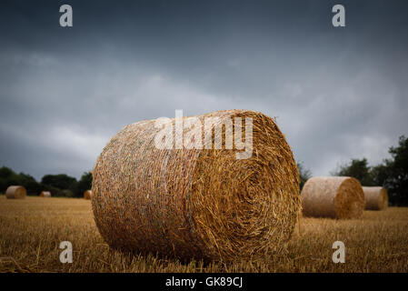 Hucknall, Nottinghamshire, Angleterre. Août 19, 2016. Met Office ont émis un avertissement jaune solide pour les vents du sud-ouest et, blustry gratuites arosse les East Midlands. Crédit : Ian Francis/Alamy Live News Banque D'Images