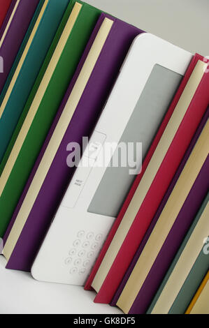 Poissons d'angle de couleur Banque D'Images