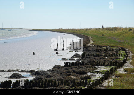 Marée basse sur le fleuve minerai dans l'Orford Suffolk Angleterre Banque D'Images