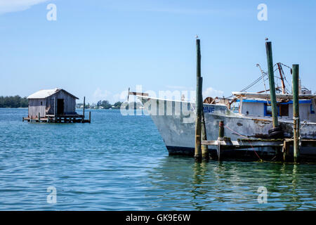 Floride Golfe du Mexique, Cortez, village de pêche historique, quai, bateau, front de mer en activité, FL160630259 Banque D'Images