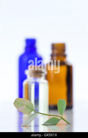 Aromathérapie huiles essentielles d'Eucalyptus dans des bouteilles Banque D'Images
