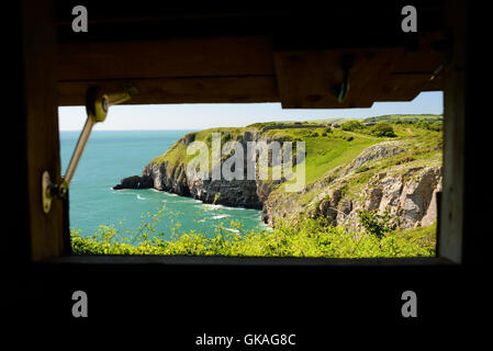 La vue d'un oiseau cacher plus d'une colonie d'oiseaux marins sur les falaises à Berry Head. Banque D'Images